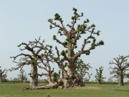 267785_10150259148179901_4865023_n